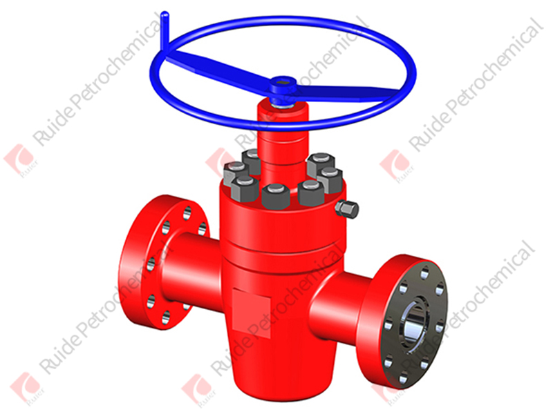 FLS gate valve