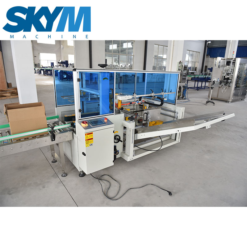 Carton Box Case Packing Machine