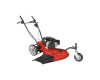 Petrol Lawnmower DU12196-61B3PV