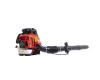 Petrol Backpack Blower DU5165B3