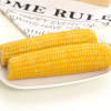 Vacuum Packed Yellow Waxy Corn Double Cob