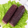 Vacuum Packed Black(Purple) Waxy Corn Double Cob