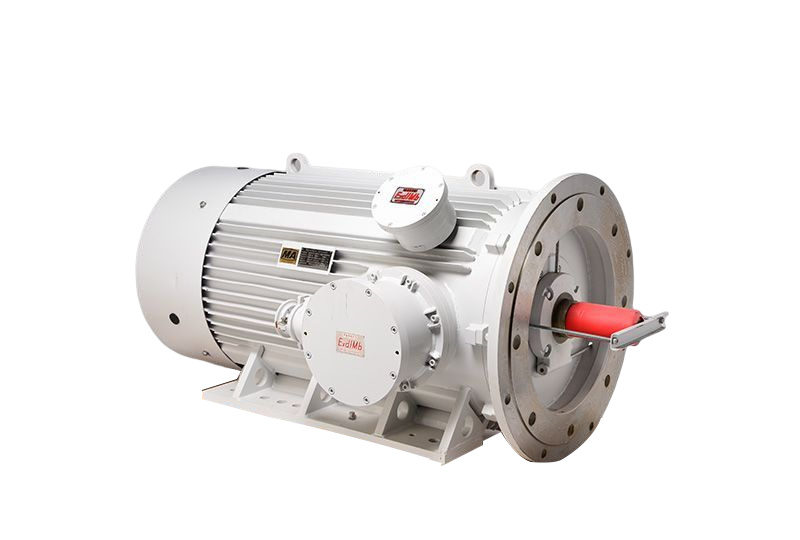 YBRB Series Flameproof Three-phase Asynchronous Motor For Pump