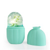 Silicone Ice Roller for Face and Eye Ice Mold