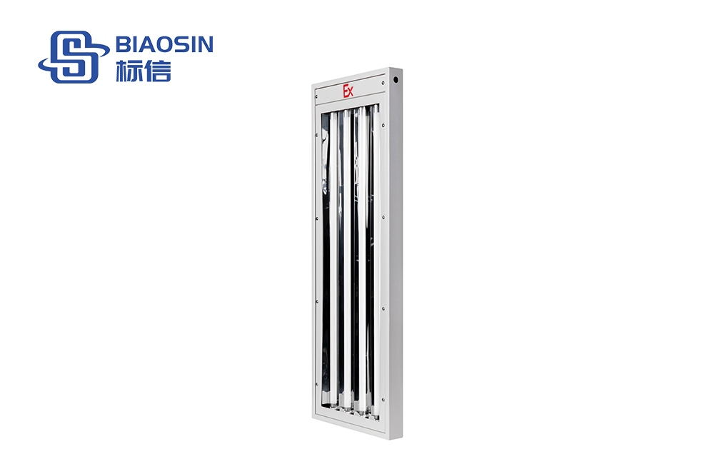 BSD-MG04 Explosion-proof lights