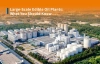 Plantas de aceite comestible a gran escala: lo que debe saber