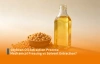 Proceso de extracción de aceite de soja: ¿prensado mecánico o extracción por solvente?