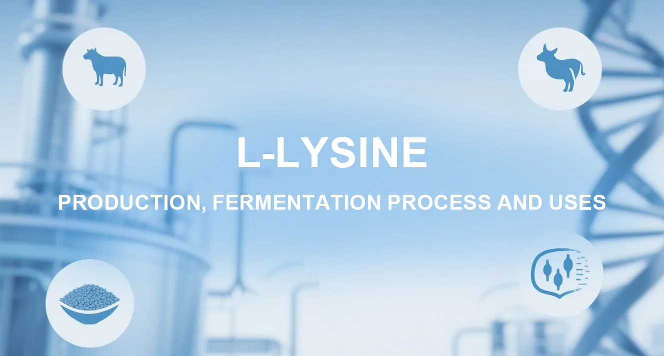 L-Lisina: Producción, Proceso de Fermentación y Usos