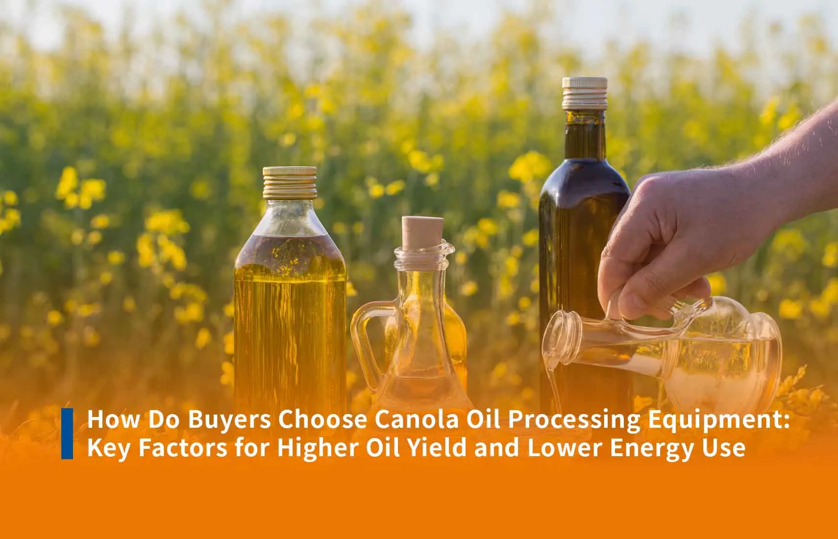 ¿Cómo eligen los compradores el equipo de procesamiento de aceite de canola?