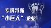 Good News! Zhouxiang Was Honored As A National-Level Specialized And New "Little Giant" Enterprise