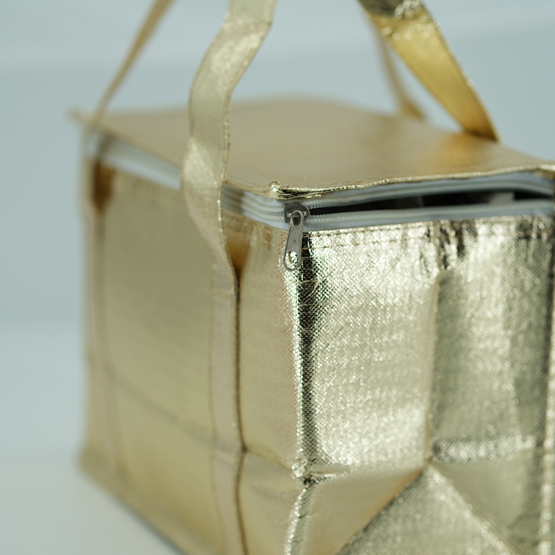 Thermal Fresh Beer Food Delivery Insulated Cooler Thermal Bags - ICE-1804