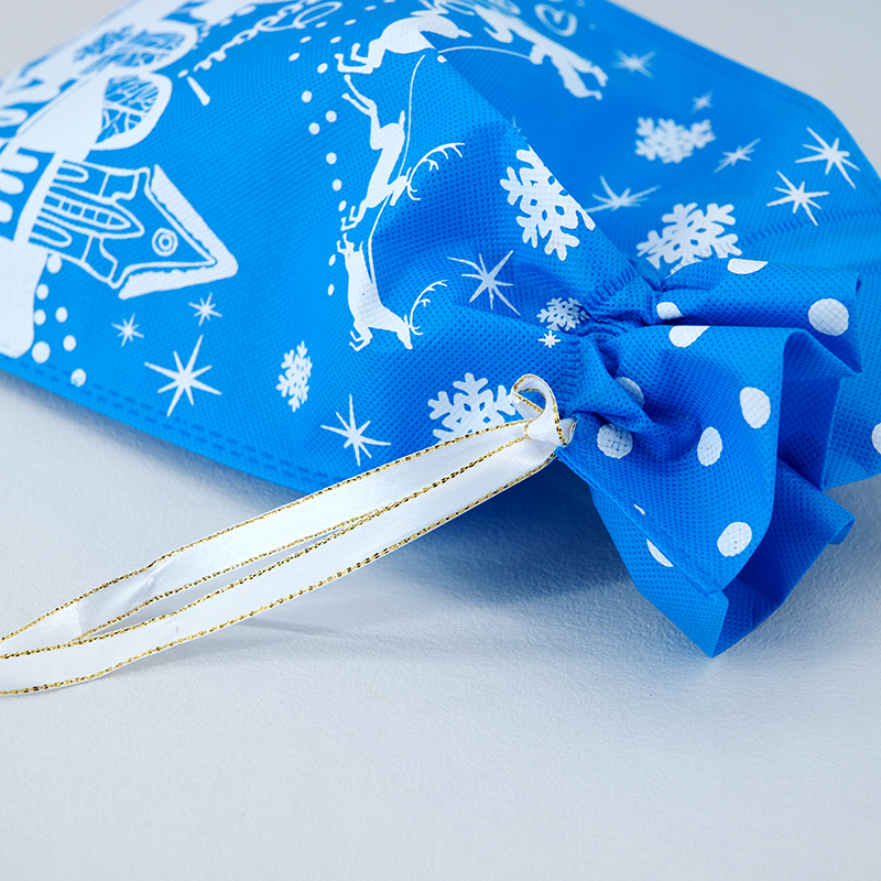 Custom logo eco friendly Christmas printed promotional non woven bag for gift  - NWG-22043