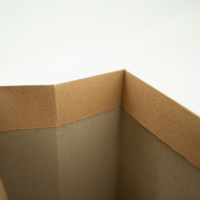 Sophisticated Elegant Paper Bags; Green Packaging Choices - PA23R001