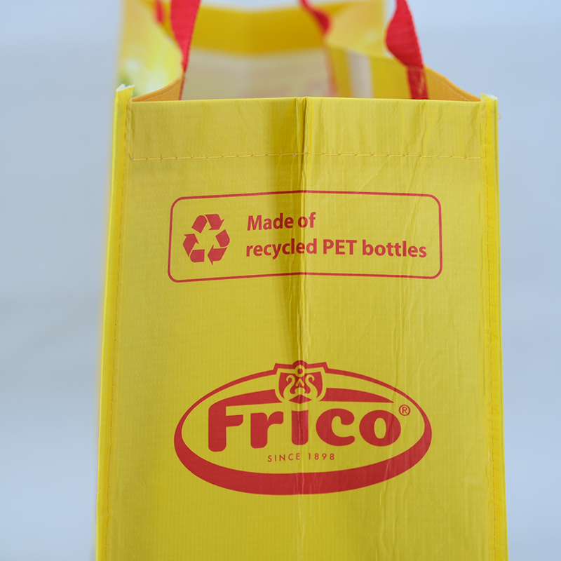 Fashion Recycled PET Non woven Shopping bags for promotion -  PTG-2110