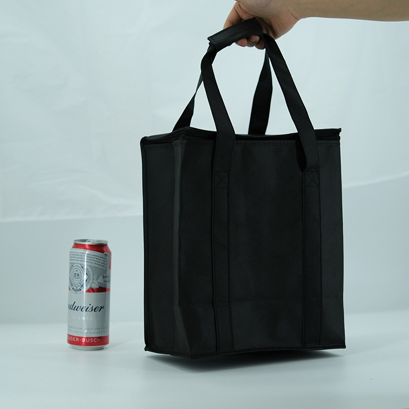 Non woven wine bags with 6 divid bottle holder with zipper closure. - WB-1903