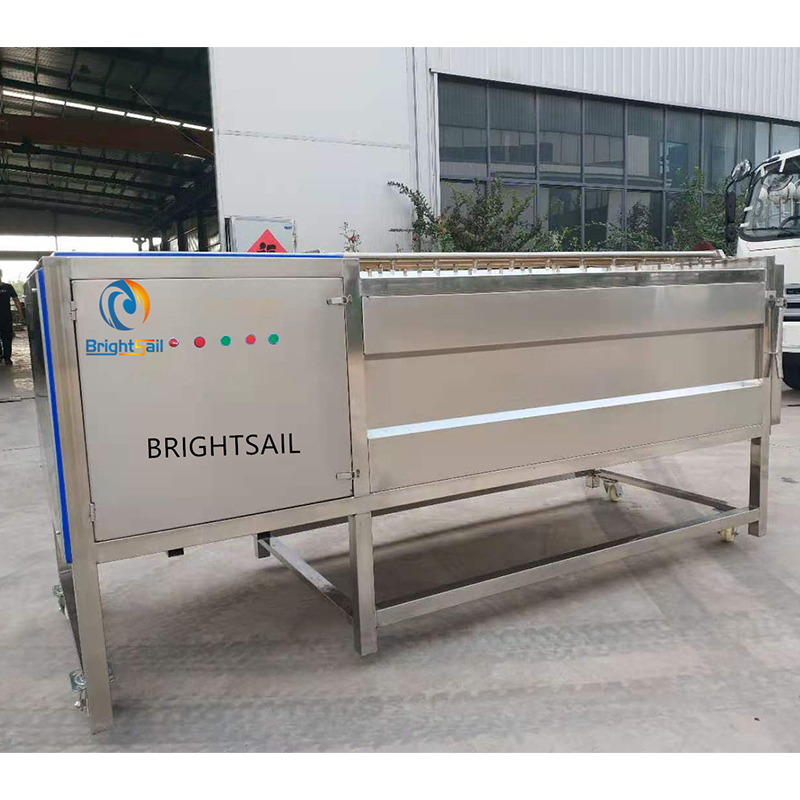 BSMG Series  Brush Roller Cleaning And Peeling Machine