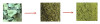 Tea Leaves Powder Grinding  Machine