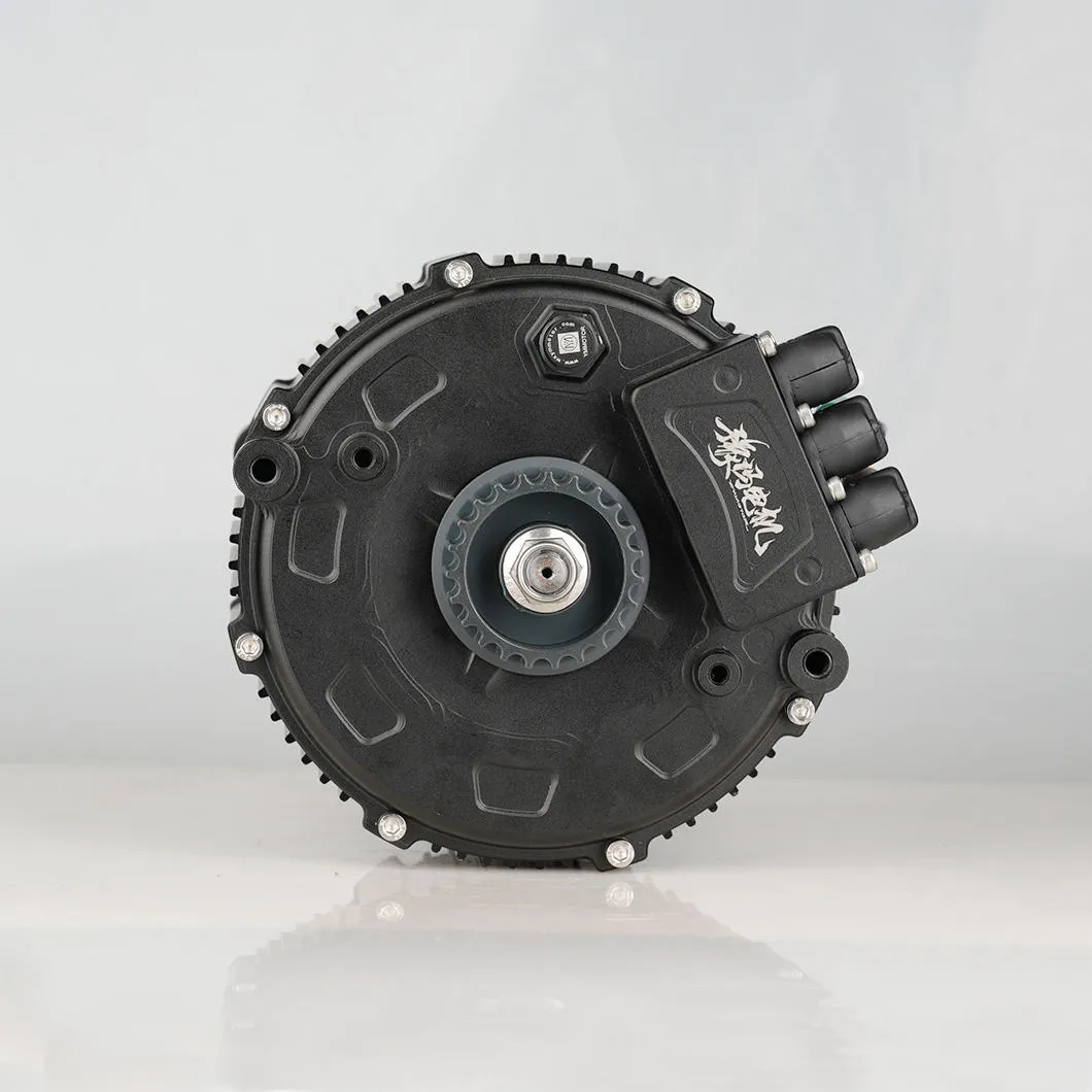 3-15KW High Efficiency 160 PMSM Mid-Drive Motor High Quality BLDC Motor for Electric Motorcycle