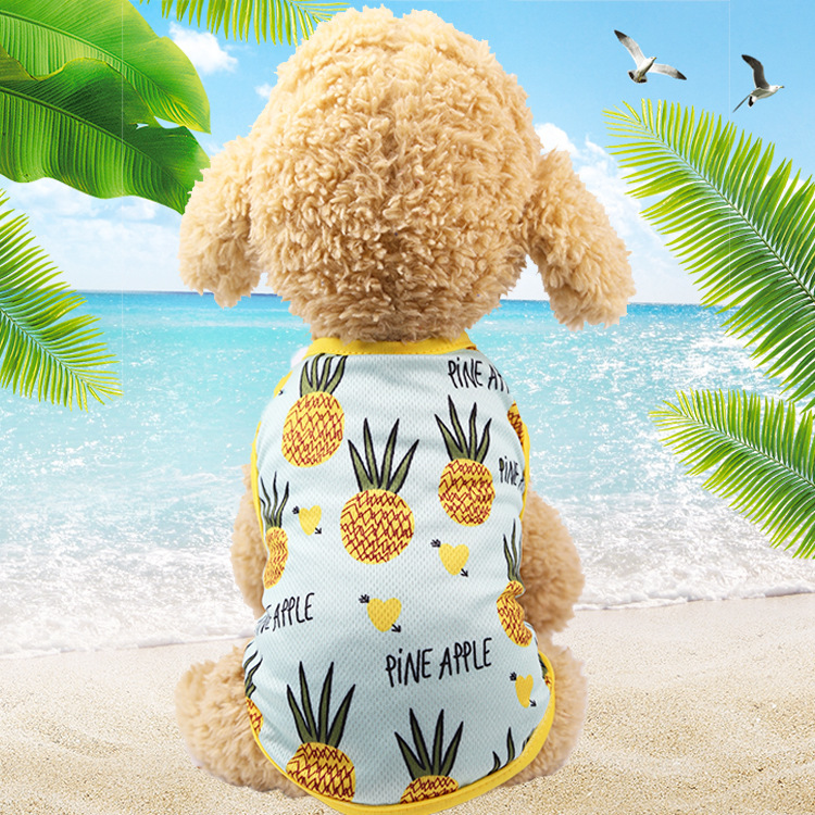 Sommer Hund T-Shirt Kleidung