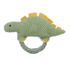 Morandi Collection Light Green Dinosaur with Green Ring