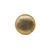 Casino Collection Gold Coin Dog Toy