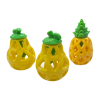 TPR Fruit Pineapple Chewing Toys