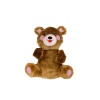 Arm Moving Bear Dog Toy