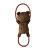 Circus Collection Bear with ropes above and below Dog Toy
