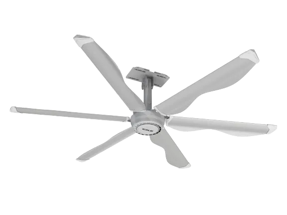 SVG