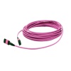 12F MPO-MPO patch cord SM MM OM3 OM4 OM5