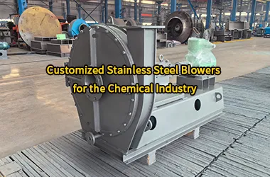 Customized Stainless Steel Blowers for the Chemical Industry