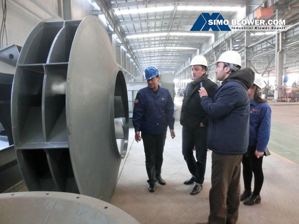SIMO impeller