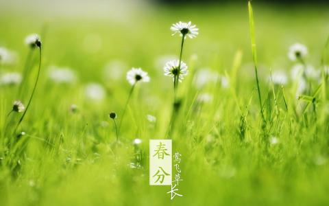 The beginning of Spring