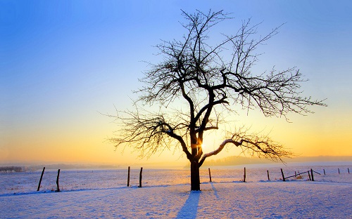 winter is coming