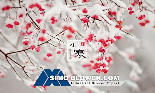 SIMO BLOWER