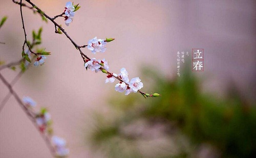 greeting spring