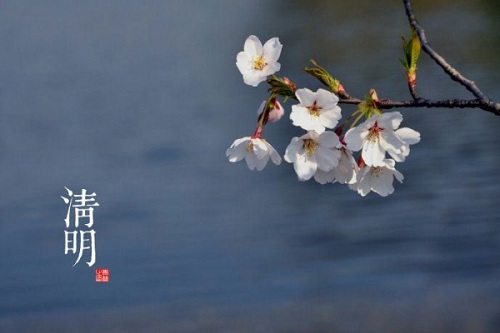 spring scene