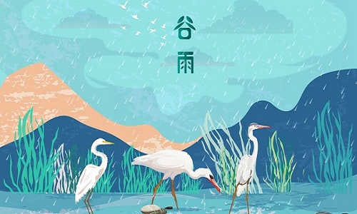 grain rain