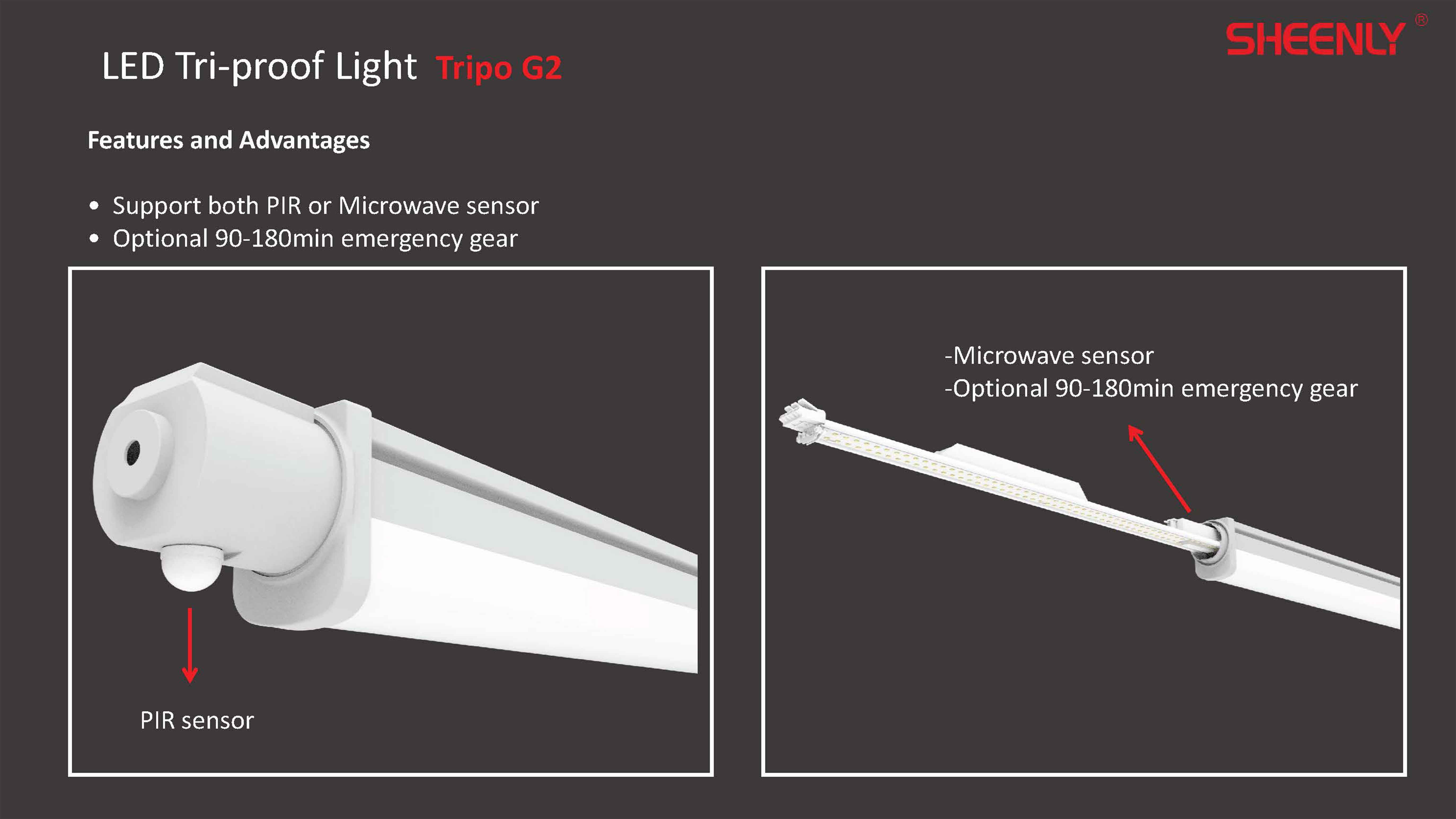 Beam Linear Luminaire