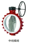 LXHQ Center line-type butterfly valve
