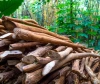 Wood Gasifier Generator: How It Works, Benefits, Costs and Applications