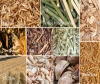 Small Biomass Plant with Biomass Gasifier Technology: A Modular Biomass Power Plant Solution for Agro Biomass