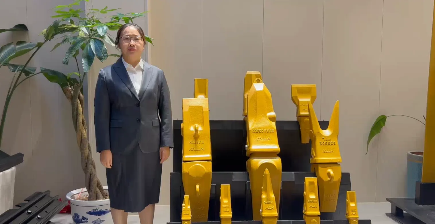 The introduction of teeth &adaptors