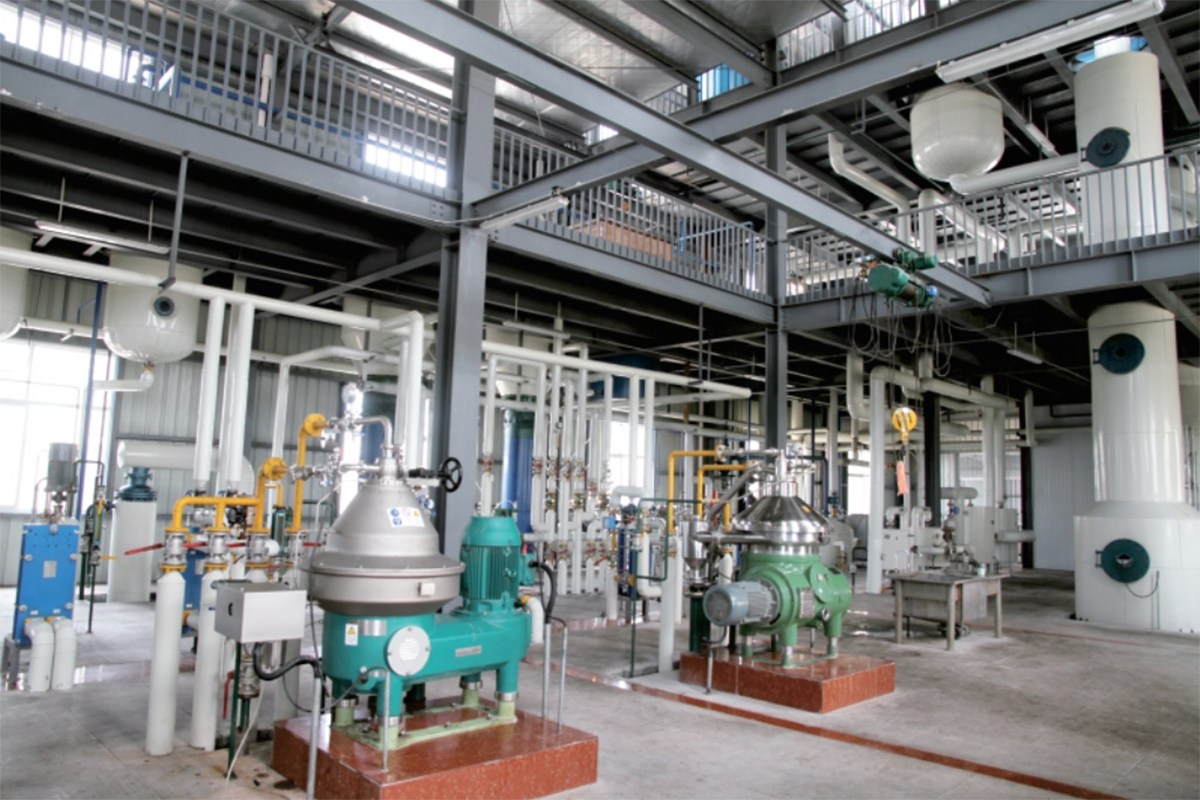 Ligne de production de raffinage d'huile