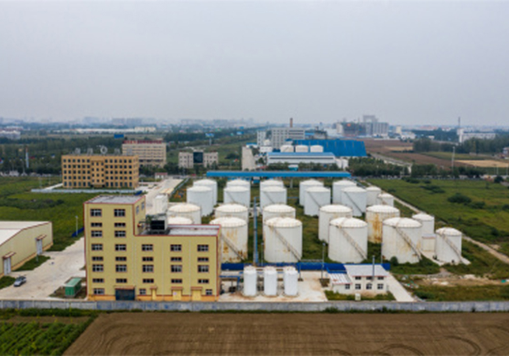 Atelier de raffinage d'huiles et de graisses Anyang Sunshine