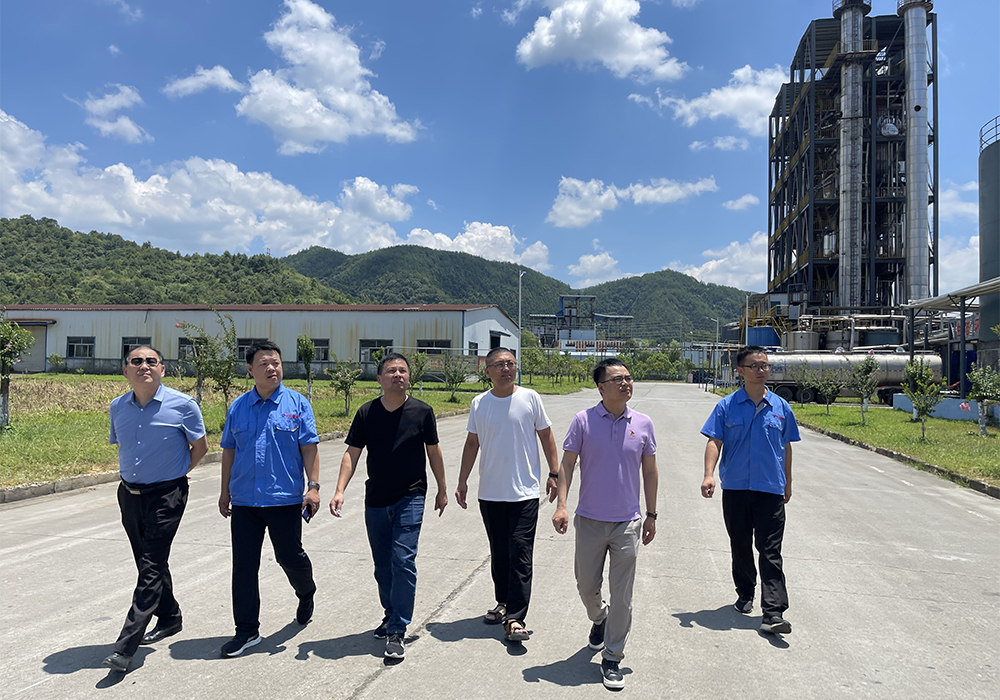 Le directeur Li s'est rendu à Jiangxi Tianyuan Company pour une inspection.