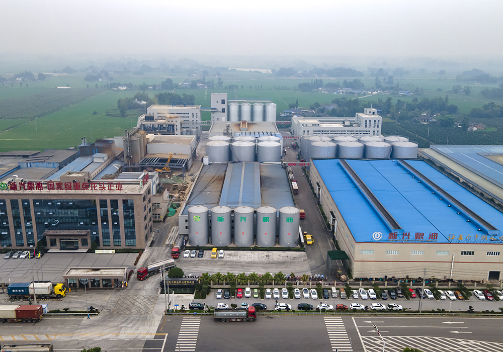 Projet de raffinage et de fractionnement de l'huile Xinxing 450TPD