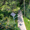 What benefits can the installation of rural solar street lights bring?