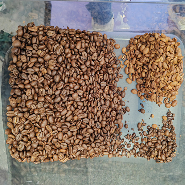 Small Coffee Bean Color Seperator