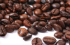 Development History of Coffee Bean Drying Method